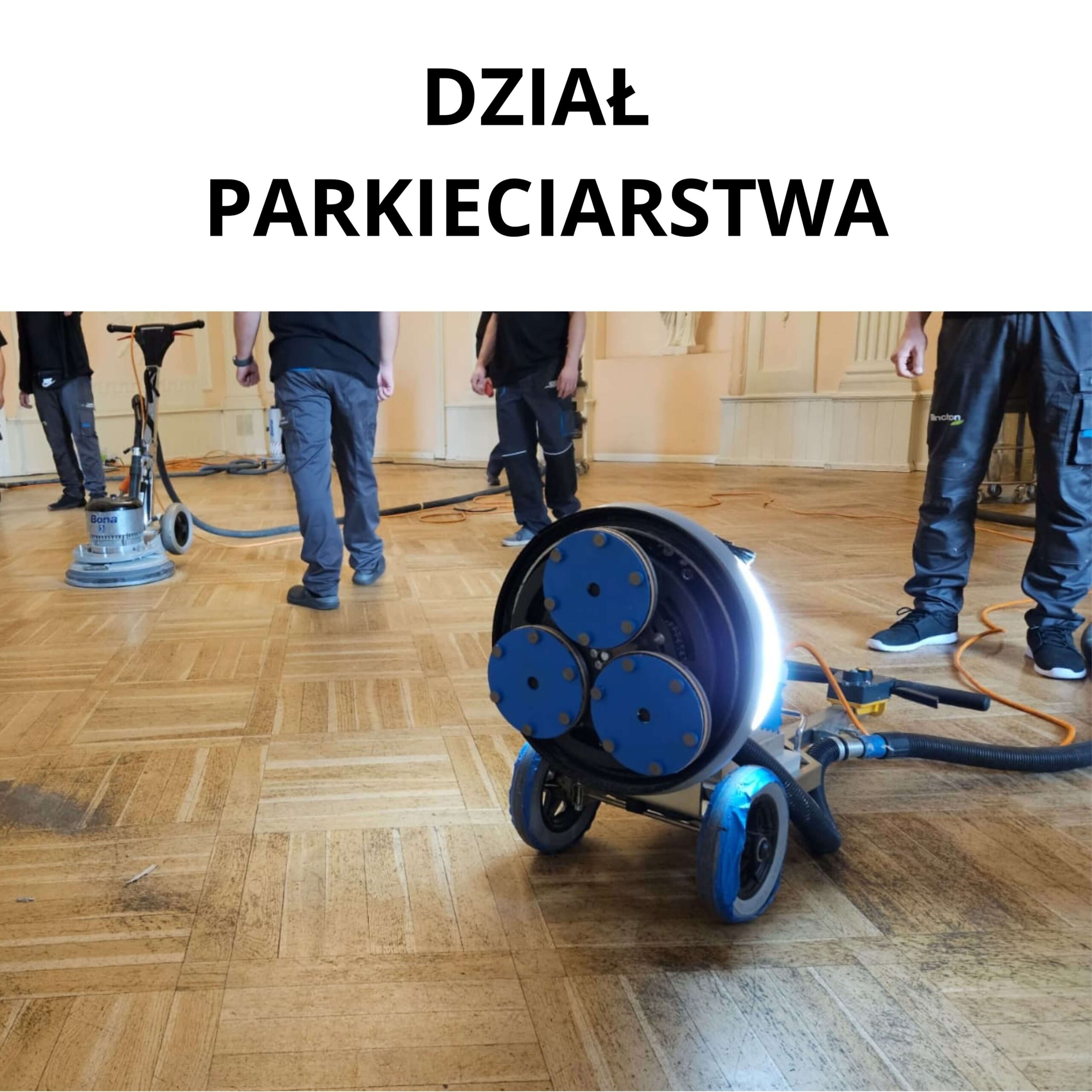 Parkiecoarstwo